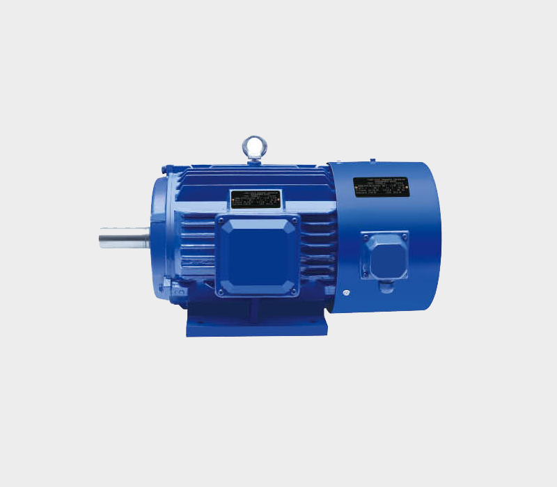 YVF2 Series Variable Frequency Adjustable Speed Three-phase Asynchronous Motor